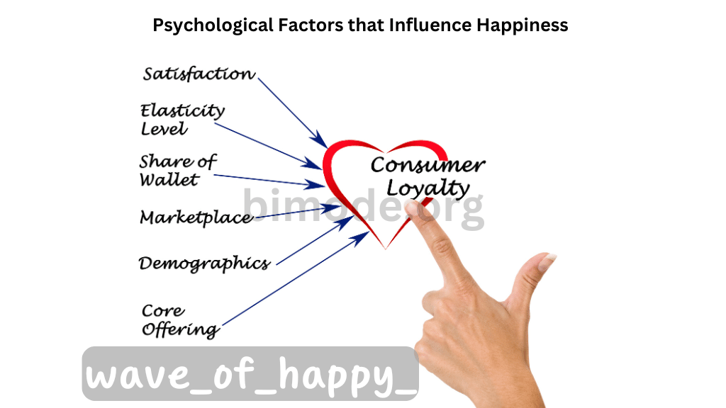 Psychological Factors that Influence Happiness